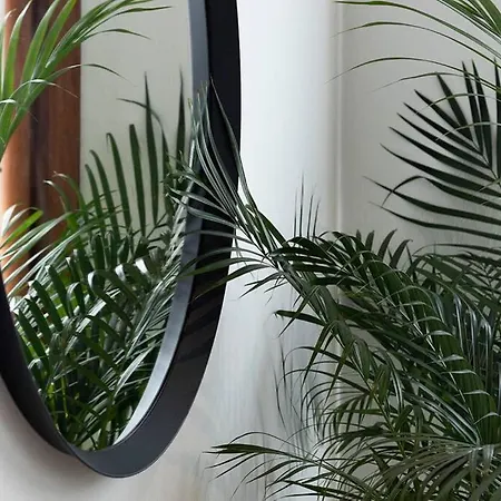 Trevisohome Fuori Mura *