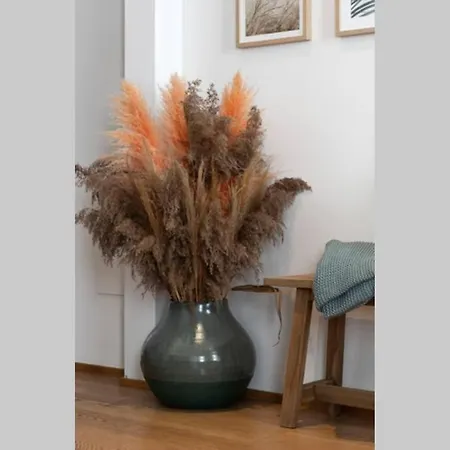 Trevisohome Fuori Mura * Treviso
